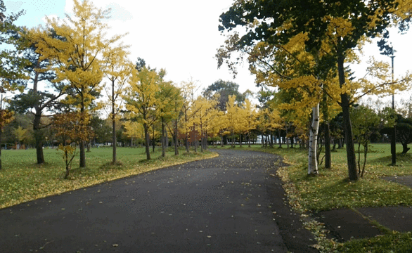 Teine Inazumi Park旅游景点图片