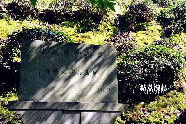 西湖风景区-老龙井