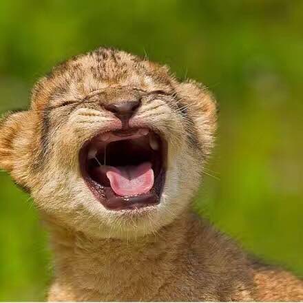 肯德基(昌平店)