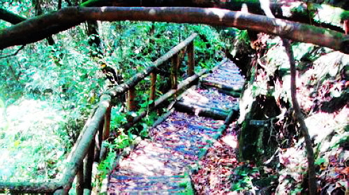 玉舍国家森林公园