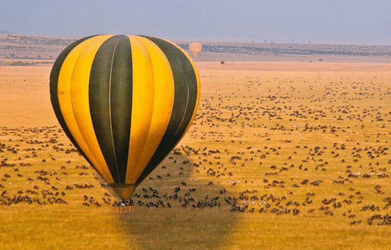 Kenya Walking Survivors Safaries旅游景点图片