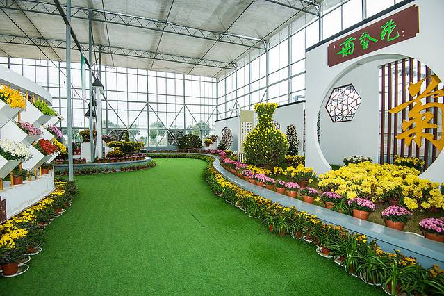 南京湖熟现代农业示范区