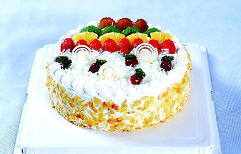 荔香园动物奶油生日蛋糕(少岷店)的图片