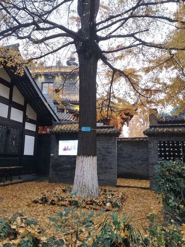 诗书画院(百花潭路)