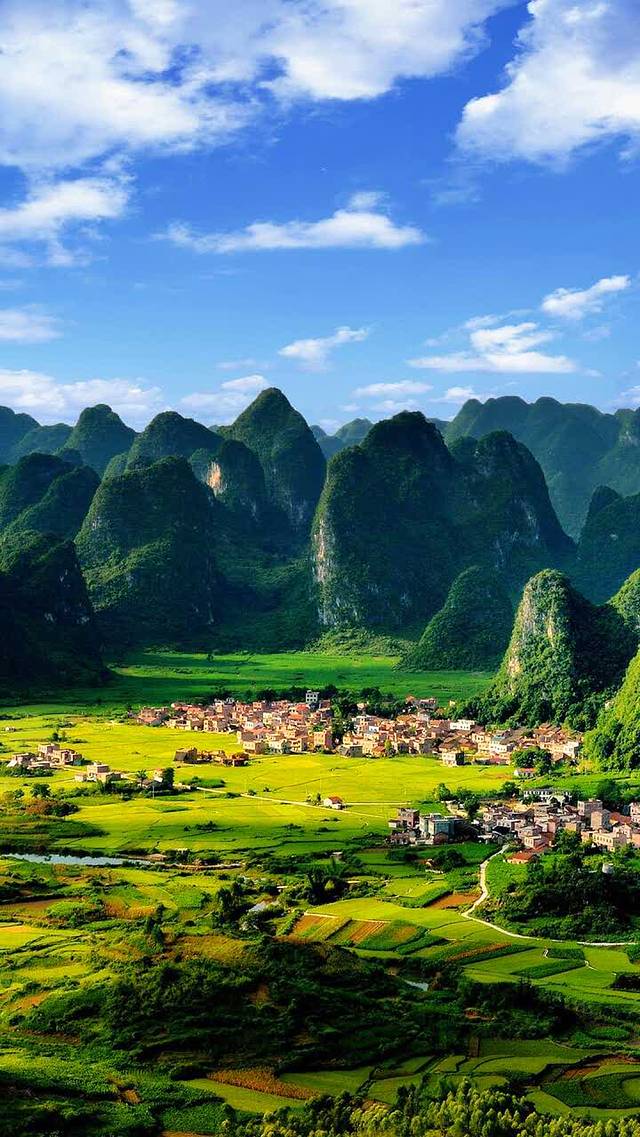 德克士(新泰店)