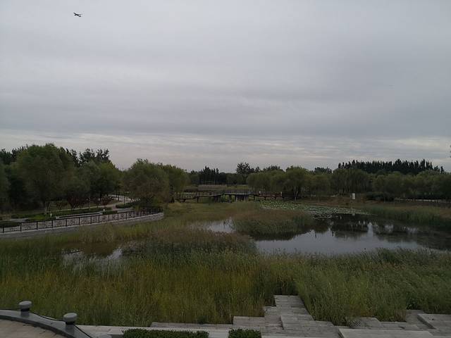 台湖文化艺术公园