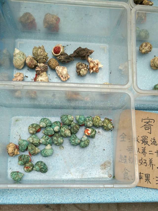 苏州市皮市街花鸟工艺品市场