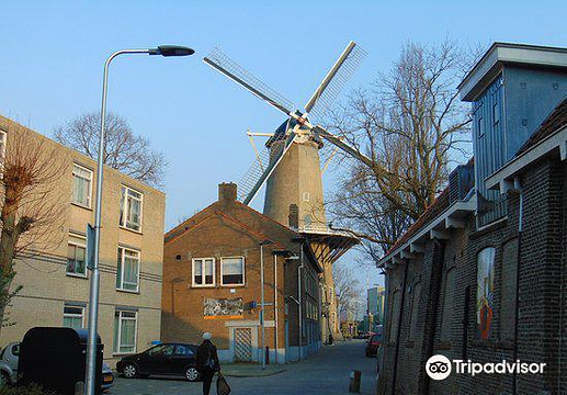 Red Lion Windmill (Molen De Roode Leeuw)旅游景点图片