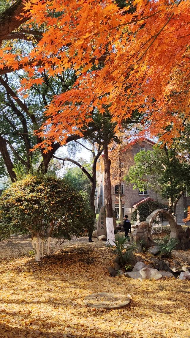 苏州大学百草园