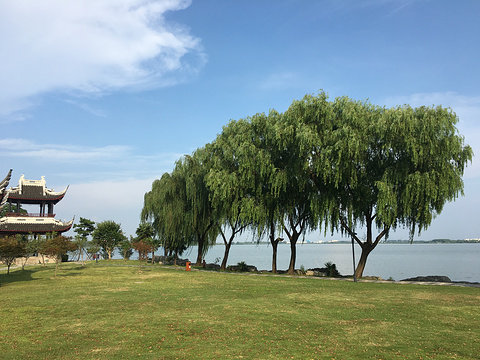 同里湖旅游景点图片