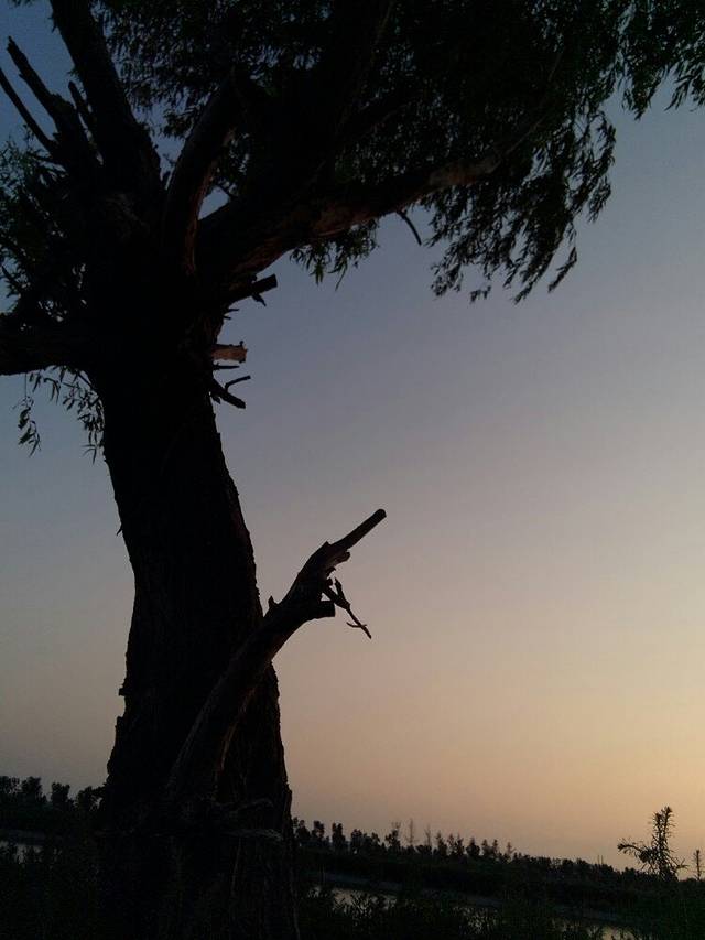 悦兮半岛水上乐园