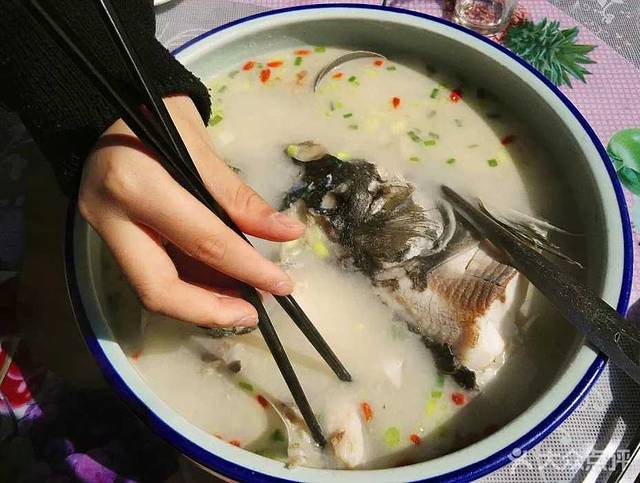 乡味豆腐宴·传承老店