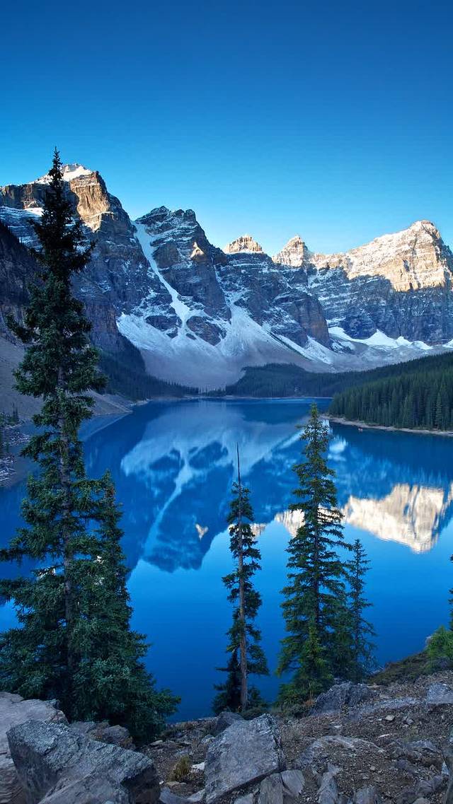 米兰西典(苏家屯店)