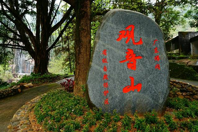 广东佛冈观音山省级自然保护区