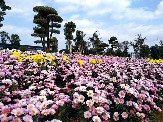 太平湖国际生态旅游度假区
