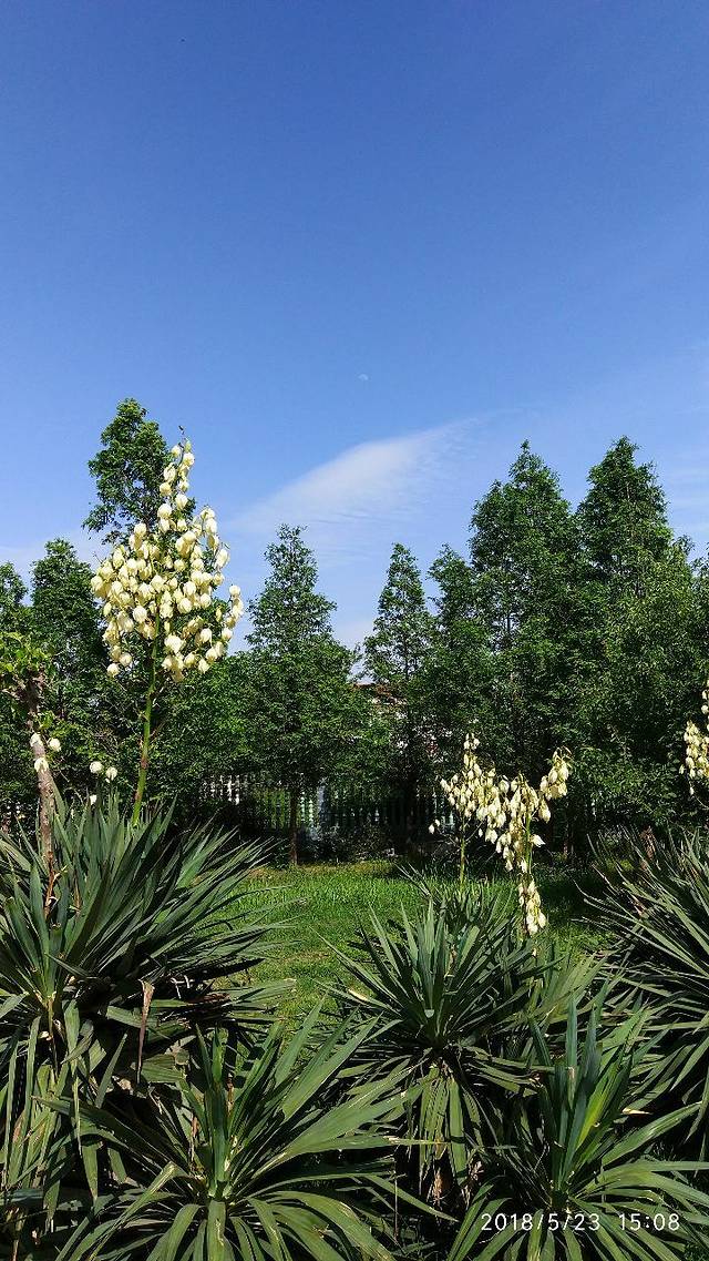 邺令公园-临漳植物园