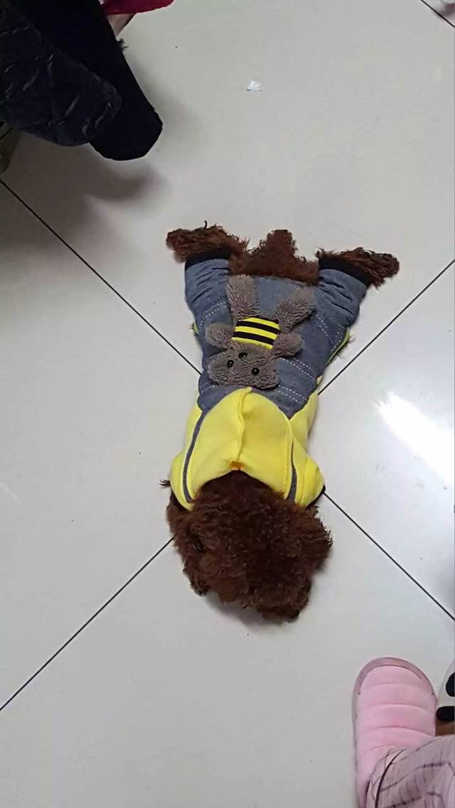 蜜雪冰城(汇金大学城店)