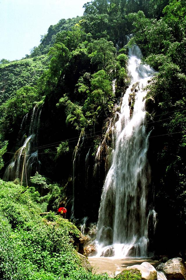 二滩国家森林公园