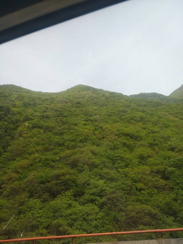 石狮大酒店·餐饮部