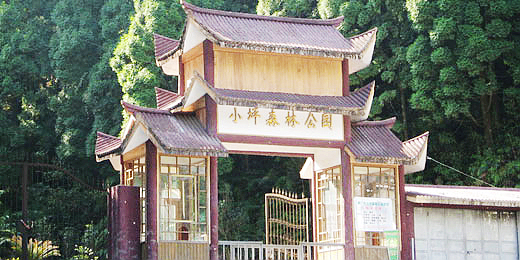 小坪森林公园