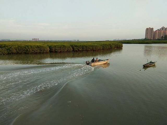 红树林文创公园