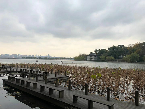 浙江西湖山庄·餐厅旅游景点图片