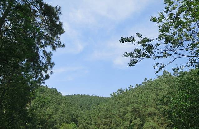 五象岭森林公园