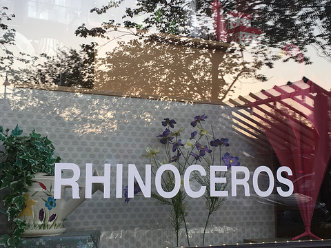 Rhinoceros Accessories