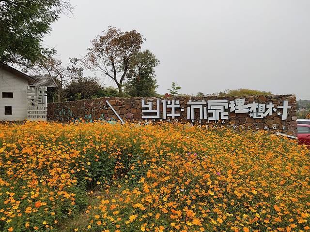 乡伴苏家文创小镇