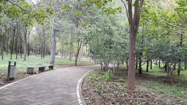 商务富锦公园旅游景点图片