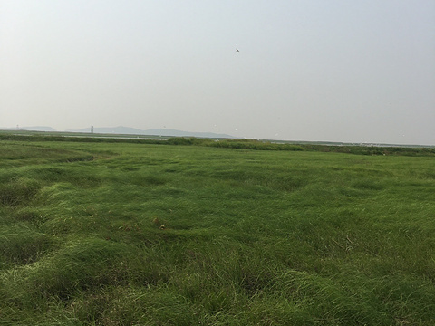 鄱阳湖湿地科学园-观湖平台旅游景点图片