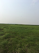 鄱阳湖湿地科学园-观湖平台