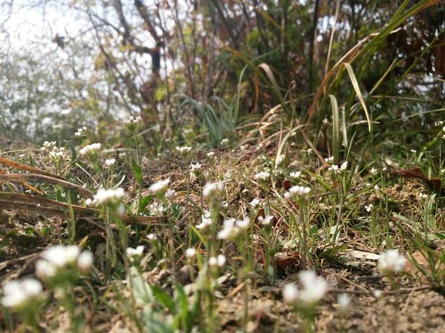 曲阜师范大学(日照校区)