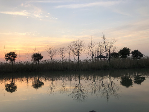 苏州全湖景私密度假微微联伙·墅家·同里社·餐厅旅游景点图片