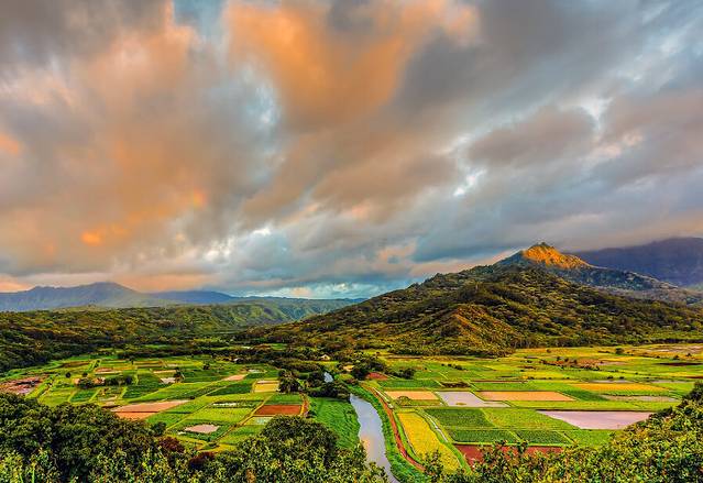 Hanalei Valley Lookout