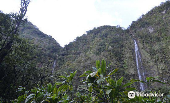Waimoku Falls旅游景点图片