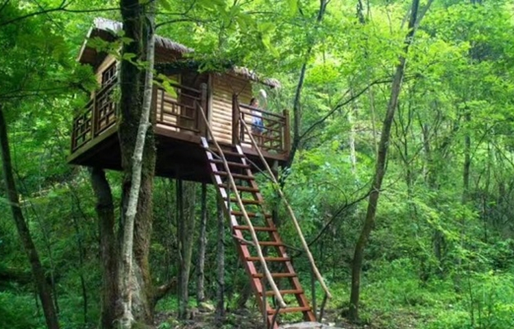 平利桃花溪景区