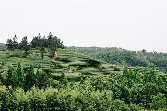 遇林亭窑址旅游景点图片