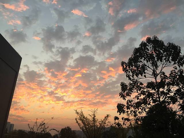 中南大学(潇湘校区)