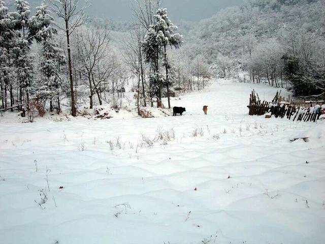 雪宝山国家森林公园