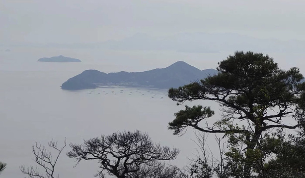 Tanokyu Miyajimaguchi旅游景点图片