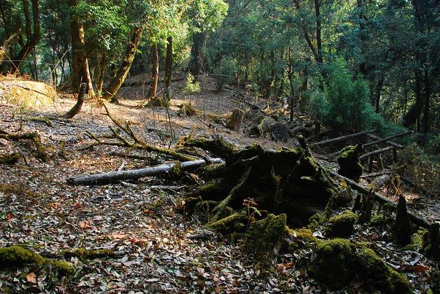 五老山国家森林公园