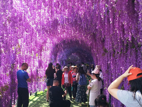 伏牛山主峰旅游景点图片