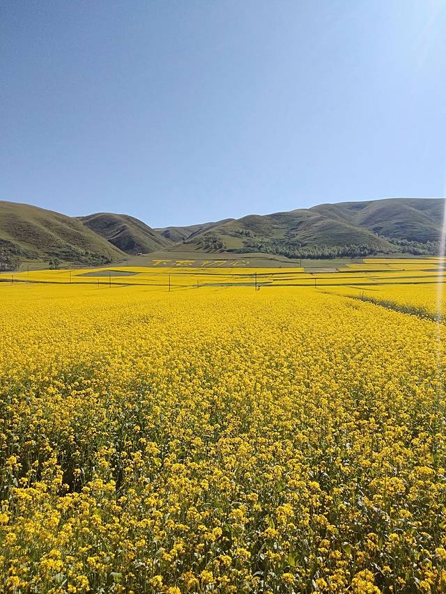 民和县喇家遗址博物馆
