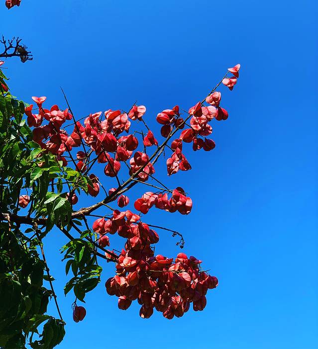 北投公园儿童游戏场