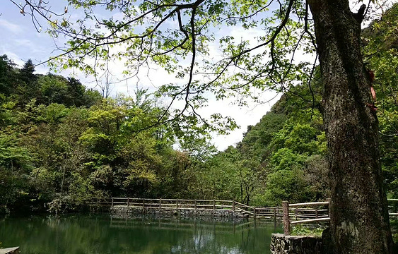 云山国家森林公园旅游景点图片