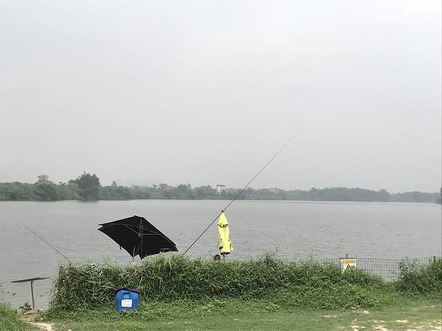 紫溪半岛花海世界