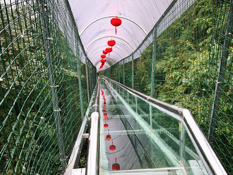 华西村玻璃桥旅游景点图片