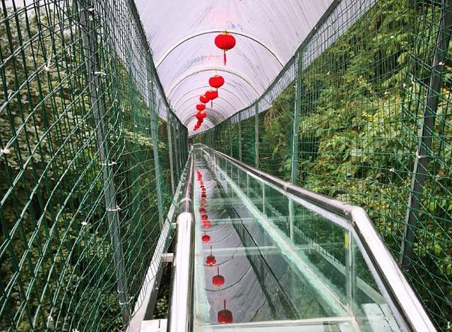华西村玻璃桥