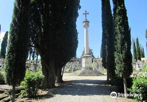 Cimitero Evangelico Agli Allori旅游景点图片